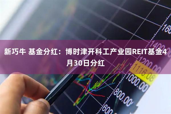 新巧牛 基金分红：博时津开科工产业园REIT基金4月30日分红