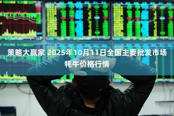 策略大赢家 2025年10月11日全国主要批发市场牦牛价格行情