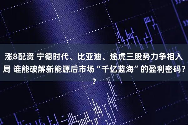 涨8配资 宁德时代、比亚迪、途虎三股势力争相入局 谁能破解新能源后市场“千亿蓝海”的盈利密码？