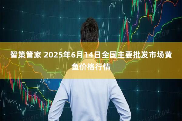 智策管家 2025年6月14日全国主要批发市场黄鱼价格行情