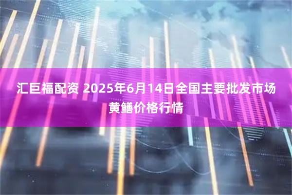 汇巨福配资 2025年6月14日全国主要批发市场黄鳝价格行情