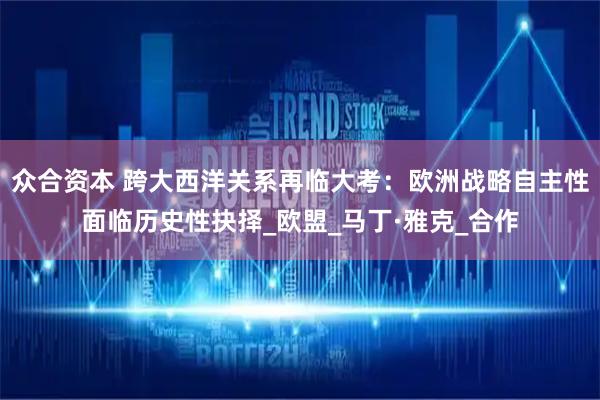 众合资本 跨大西洋关系再临大考：欧洲战略自主性面临历史性抉择_欧盟_马丁·雅克_合作