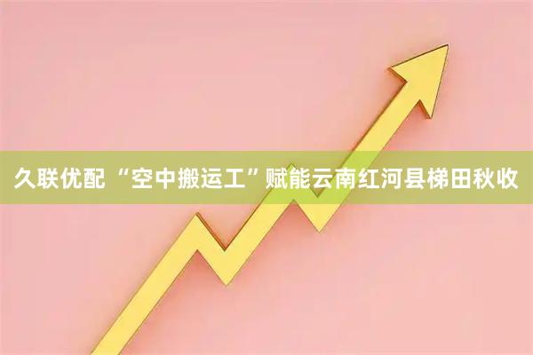 久联优配 “空中搬运工”赋能云南红河县梯田秋收